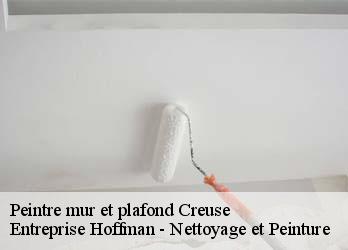 Peintre mur et plafond Creuse 