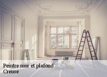 Peintre mur et plafond Creuse 