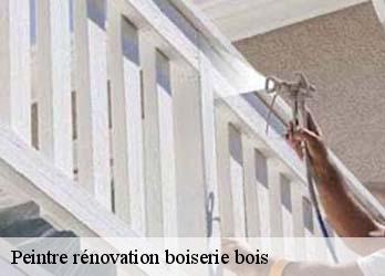 Peintre rénovation boiserie bois  23380