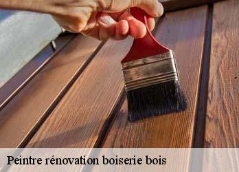 Peintre rénovation boiserie bois  23700