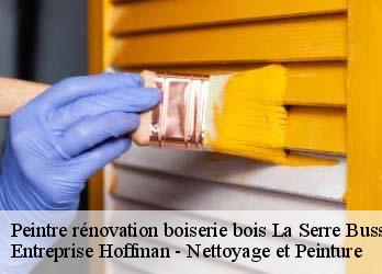 Peintre rénovation boiserie bois  23190