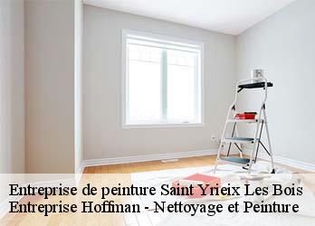 Entreprise de peinture  23150