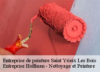 Entreprise de peinture  23150