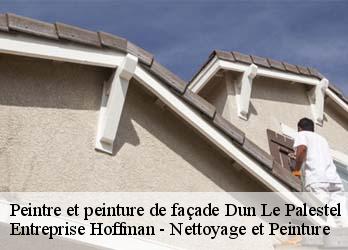 Peintre et peinture de façade  23800