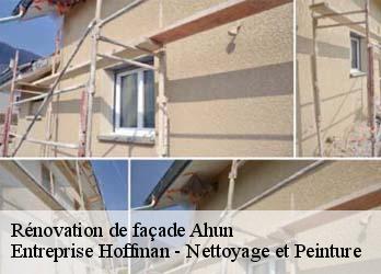 Rénovation de façade  23150