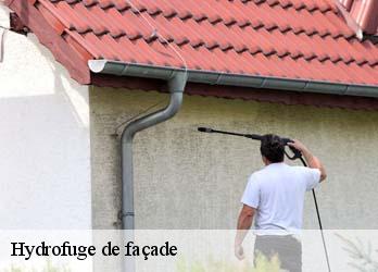 Hydrofuge de façade  23600