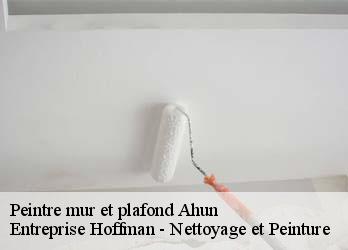 Peintre mur et plafond  23150