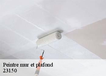 Peintre mur et plafond  23150