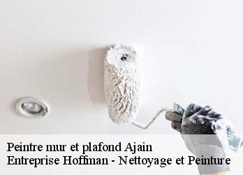 Peintre mur et plafond  23380