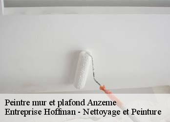 Peintre mur et plafond  23000