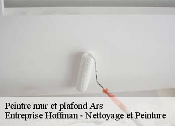 Peintre mur et plafond  23480