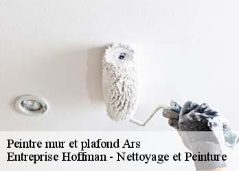 Peintre mur et plafond  23480