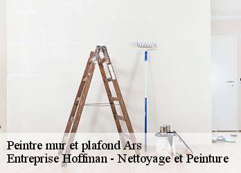 Peintre mur et plafond  23480