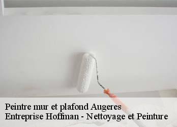 Peintre mur et plafond  23210