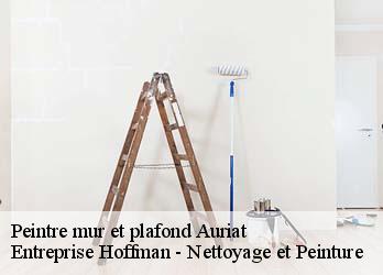 Peintre mur et plafond  23400