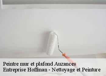 Peintre mur et plafond  23700