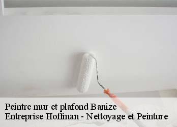 Peintre mur et plafond  23120