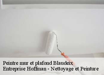 Peintre mur et plafond  23140