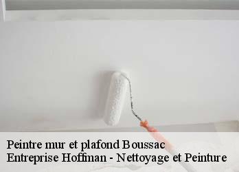 Peintre mur et plafond  23600