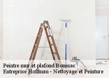 Peintre mur et plafond  23600