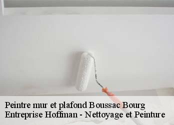 Peintre mur et plafond  23600