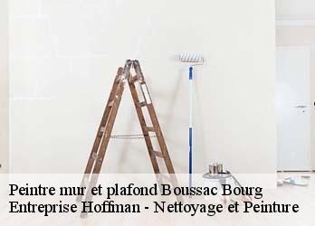 Peintre mur et plafond  23600