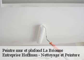 Peintre mur et plafond  23000