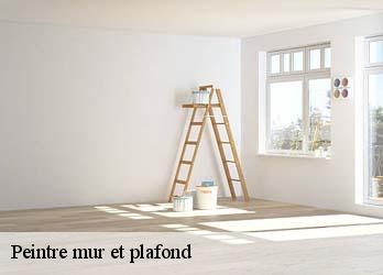 Peintre mur et plafond  23700