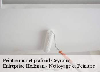 Peintre mur et plafond  23210