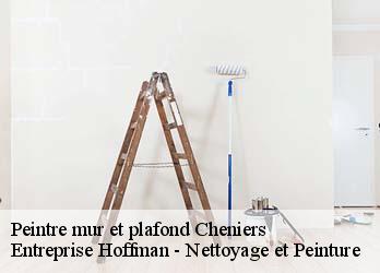 Peintre mur et plafond  23220