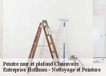 Peintre mur et plafond  23500