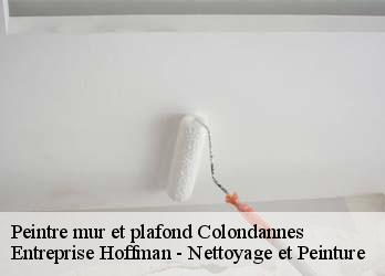 Peintre mur et plafond  23800