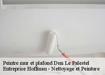 Peintre mur et plafond  23800