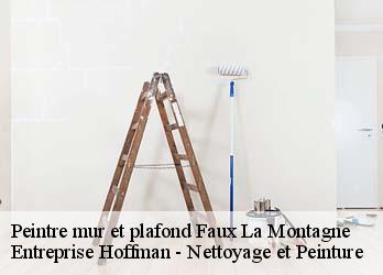 Peintre mur et plafond  23340