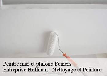 Peintre mur et plafond  23100