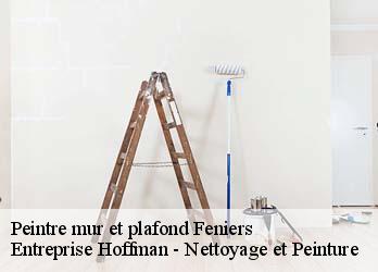 Peintre mur et plafond  23100