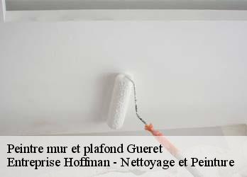 Peintre mur et plafond  23000