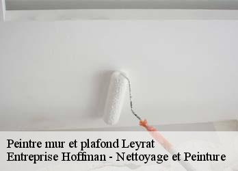 Peintre mur et plafond  23600