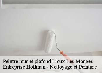 Peintre mur et plafond  23700