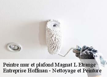 Peintre mur et plafond  23260