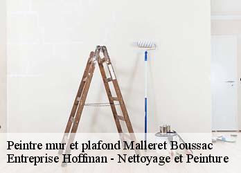 Peintre mur et plafond  23600