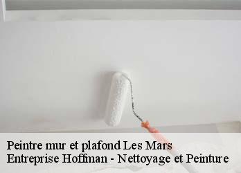 Peintre mur et plafond  23700