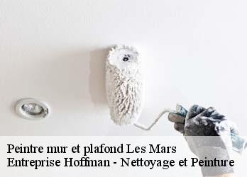 Peintre mur et plafond  23700