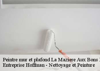 Peintre mur et plafond  23260