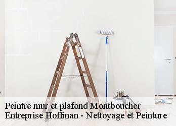 Peintre mur et plafond  23400