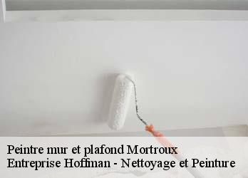 Peintre mur et plafond  23220