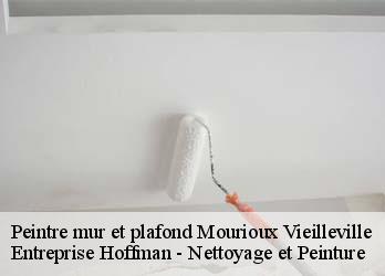 Peintre mur et plafond  23210