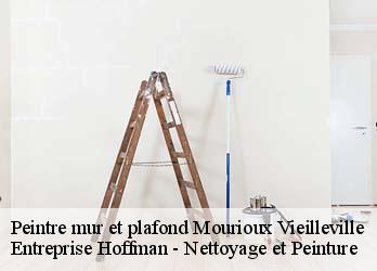 Peintre mur et plafond  23210