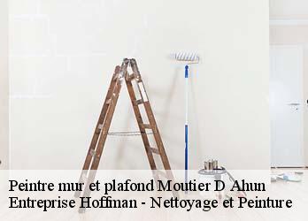 Peintre mur et plafond  23150