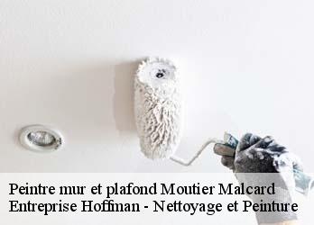 Peintre mur et plafond  23220